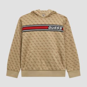 Eco Mini Me Signature Hoodie (8-16) - Brown