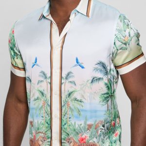 Eco Big Cat Shirt - MultipleColors
