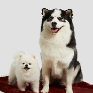 Faux-Fur Pet Carpet - Purple