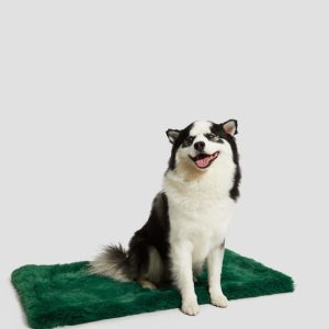 Faux-Fur Pet Carpet - Green