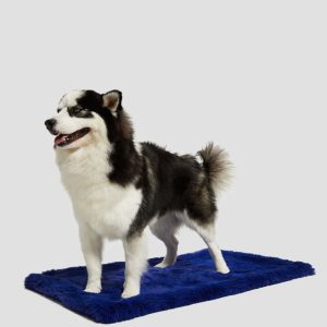 Faux-Fur Pet Carpet - Blue