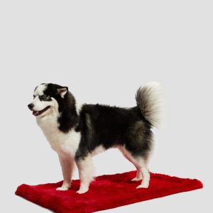 Faux-Fur Pet Carpet - Red